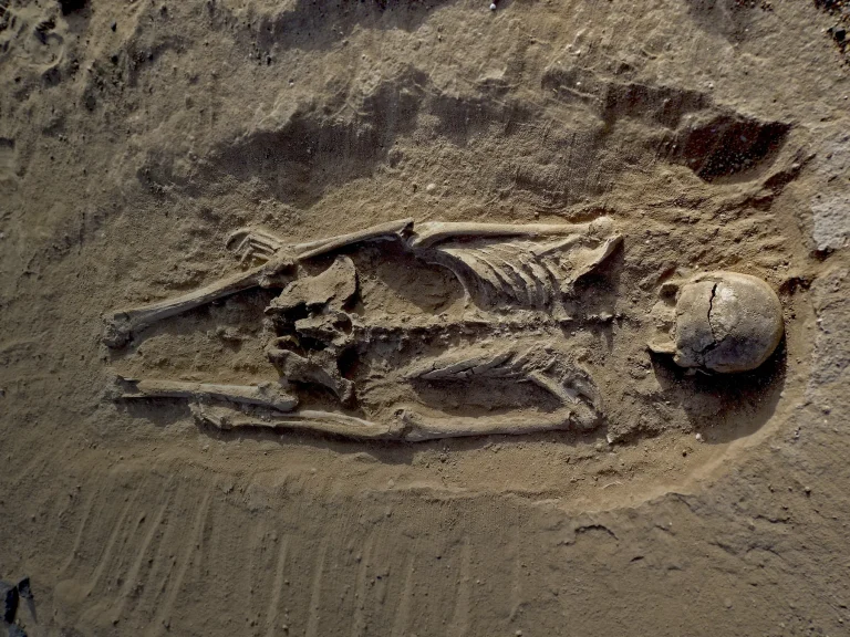 Neanderthalers