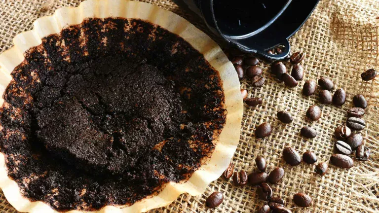 koffiedik