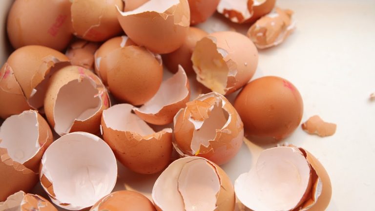 Eierschalen