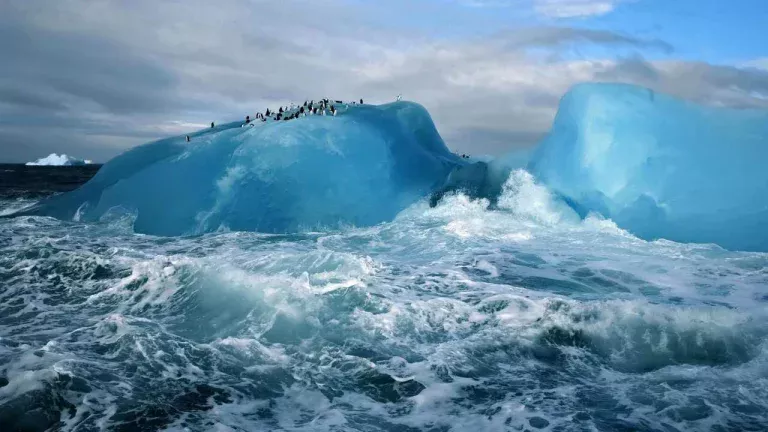 Antarctica